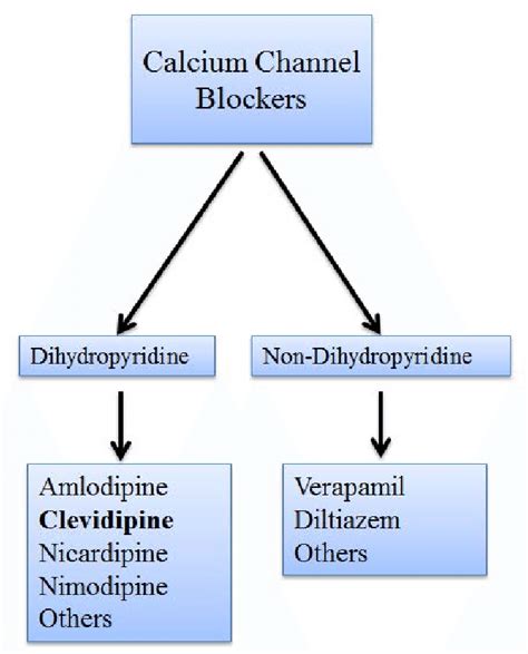 Calcium channel blockers .